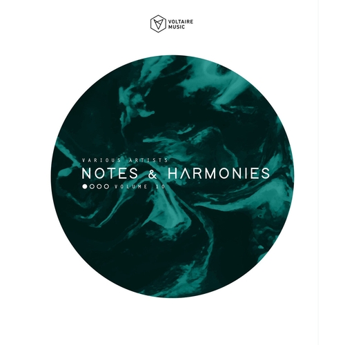 VA - Notes & Harmonies, Vol. 11 [VOLTCOMP1186]